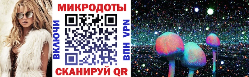 Галлюциногенные грибы Psilocybe  как найти закладки  Черногорск 